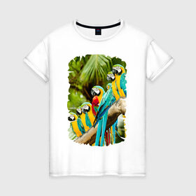 Женская футболка хлопок с принтом Экзотические попугаи в Новосибирске, 100% хлопок | прямой крой, круглый вырез горловины, длина до линии бедер, слегка спущенное плечо | джунгли | клюв | острова | перья | попугай | птица | тропики | экзотика