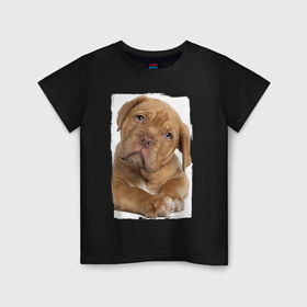 Детская футболка хлопок с принтом Милый щеночек в Новосибирске, 100% хлопок | круглый вырез горловины, полуприлегающий силуэт, длина до линии бедер | животное | зверёк | красивый | ласковый | лучший друг человека | любимец | милый | нежный | питомец | собака | собачонка | щенок | щеночек