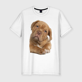 Мужская футболка премиум с принтом Милый щеночек в Новосибирске, 92% хлопок, 8% лайкра | приталенный силуэт, круглый вырез ворота, длина до линии бедра, короткий рукав | животное | зверёк | красивый | ласковый | лучший друг человека | любимец | милый | нежный | питомец | собака | собачонка | щенок | щеночек