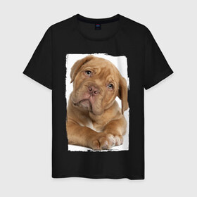 Мужская футболка хлопок с принтом Милый щеночек в Новосибирске, 100% хлопок | прямой крой, круглый вырез горловины, длина до линии бедер, слегка спущенное плечо. | животное | зверёк | красивый | ласковый | лучший друг человека | любимец | милый | нежный | питомец | собака | собачонка | щенок | щеночек