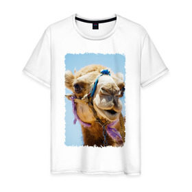 Мужская футболка хлопок с принтом Верблюд в Новосибирске, 100% хлопок | прямой крой, круглый вырез горловины, длина до линии бедер, слегка спущенное плечо. | верблюд | горб | животное | караван | песок | плевок | пустыня