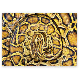 Поздравительная открытка с принтом Змея в Новосибирске, 100% бумага | плотность бумаги 280 г/м2, матовая, на обратной стороне линовка и место для марки
 | snake | анаконда | гадюка | змеиная | змея | кобра | кожа | кожура | удав | уж | червь | червяк | яд