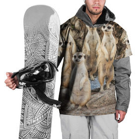 Накидка на куртку 3D с принтом Сурикаты в Новосибирске, 100% полиэстер |  | Тематика изображения на принте: животное | зверёк | калахари | мангуст | млекопитающее | сурикат | южная африка