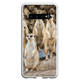 Чехол для Samsung Galaxy S10 с принтом Сурикаты в Новосибирске, Силикон | Область печати: задняя сторона чехла, без боковых панелей | животное | зверёк | калахари | мангуст | млекопитающее | сурикат | южная африка