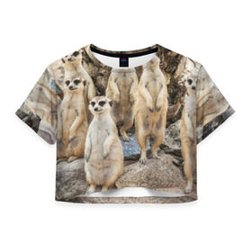Женская футболка 3D укороченная с принтом Сурикаты в Новосибирске, 100% полиэстер | круглая горловина, длина футболки до линии талии, рукава с отворотами | животное | зверёк | калахари | мангуст | млекопитающее | сурикат | южная африка