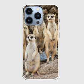 Чехол для iPhone 13 Pro с принтом Сурикаты в Новосибирске,  |  | животное | зверёк | калахари | мангуст | млекопитающее | сурикат | южная африка