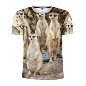 Мужская футболка 3D спортивная с принтом Сурикаты в Новосибирске, 100% полиэстер с улучшенными характеристиками | приталенный силуэт, круглая горловина, широкие плечи, сужается к линии бедра | животное | зверёк | калахари | мангуст | млекопитающее | сурикат | южная африка