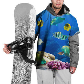Накидка на куртку 3D с принтом Дайвинг в Новосибирске, 100% полиэстер |  | дайвинг | египет | каникулы | коралловый риф | крабы | красное море | море | морские обитатели | океан | отдых | отпуск | подводные красоты | приключение | рыбки | рыбы | туризм