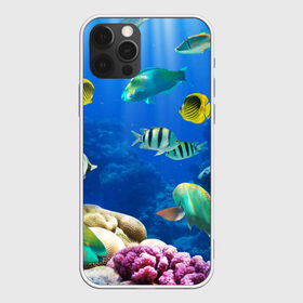Чехол для iPhone 12 Pro Max с принтом Дайвинг в Новосибирске, Силикон |  | Тематика изображения на принте: дайвинг | египет | каникулы | коралловый риф | крабы | красное море | море | морские обитатели | океан | отдых | отпуск | подводные красоты | приключение | рыбки | рыбы | туризм