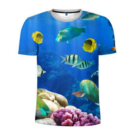 Мужская футболка 3D спортивная с принтом Дайвинг в Новосибирске, 100% полиэстер с улучшенными характеристиками | приталенный силуэт, круглая горловина, широкие плечи, сужается к линии бедра | дайвинг | египет | каникулы | коралловый риф | крабы | красное море | море | морские обитатели | океан | отдых | отпуск | подводные красоты | приключение | рыбки | рыбы | туризм