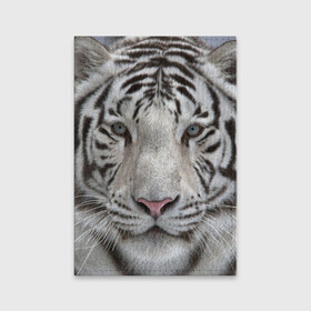 Обложка для паспорта матовая кожа с принтом Бенгальский тигр в Новосибирске, натуральная матовая кожа | размер 19,3 х 13,7 см; прозрачные пластиковые крепления | Тематика изображения на принте: tiger | белый | дикая кошка | тигр | хищник