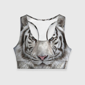 Женский спортивный топ 3D с принтом Бенгальский тигр в Новосибирске, 82% полиэстер, 18% спандекс Ткань безопасна для здоровья, позволяет коже дышать, не мнется и не растягивается |  | tiger | белый | дикая кошка | тигр | хищник