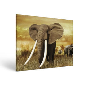 Холст прямоугольный с принтом Могучий слон в Новосибирске, 100% ПВХ |  | elephant | африка | бивни | джунгли | мамонт | савана | сафари | слон | хобот