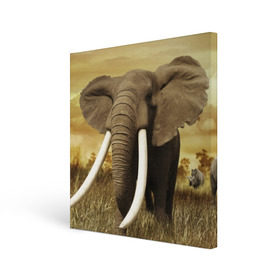 Холст квадратный с принтом Могучий слон в Новосибирске, 100% ПВХ |  | elephant | африка | бивни | джунгли | мамонт | савана | сафари | слон | хобот