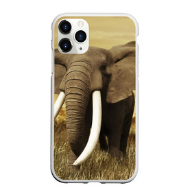 Чехол для iPhone 11 Pro матовый с принтом Могучий слон в Новосибирске, Силикон |  | elephant | африка | бивни | джунгли | мамонт | савана | сафари | слон | хобот