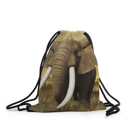 Рюкзак-мешок 3D с принтом Могучий слон в Новосибирске, 100% полиэстер | плотность ткани — 200 г/м2, размер — 35 х 45 см; лямки — толстые шнурки, застежка на шнуровке, без карманов и подкладки | elephant | африка | бивни | джунгли | мамонт | савана | сафари | слон | хобот
