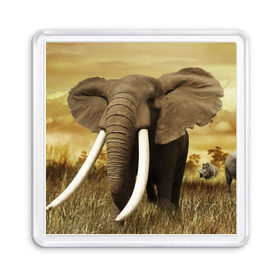 Магнит 55*55 с принтом Могучий слон в Новосибирске, Пластик | Размер: 65*65 мм; Размер печати: 55*55 мм | Тематика изображения на принте: elephant | африка | бивни | джунгли | мамонт | савана | сафари | слон | хобот