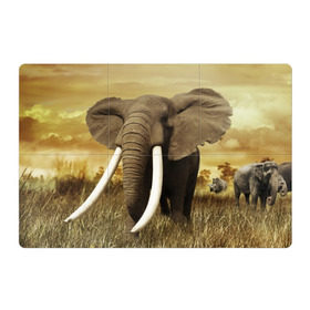 Магнитный плакат 3Х2 с принтом Могучий слон в Новосибирске, Полимерный материал с магнитным слоем | 6 деталей размером 9*9 см | Тематика изображения на принте: elephant | африка | бивни | джунгли | мамонт | савана | сафари | слон | хобот