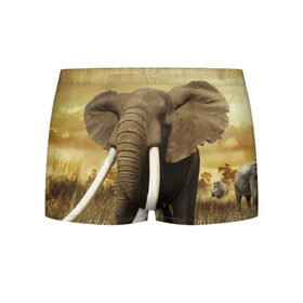 Мужские трусы 3D с принтом Могучий слон в Новосибирске, 50% хлопок, 50% полиэстер | классическая посадка, на поясе мягкая тканевая резинка | Тематика изображения на принте: elephant | африка | бивни | джунгли | мамонт | савана | сафари | слон | хобот
