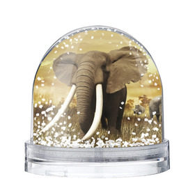 Водяной шар с принтом Могучий слон в Новосибирске, Пластик | Изображение внутри шара печатается на глянцевой фотобумаге с двух сторон | elephant | африка | бивни | джунгли | мамонт | савана | сафари | слон | хобот