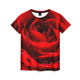 Женская футболка 3D с принтом Роза в Новосибирске, 100% полиэфир ( синтетическое хлопкоподобное полотно) | прямой крой, круглый вырез горловины, длина до линии бедер | роза | розовая | розы | романтика | цветы