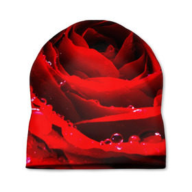 Шапка 3D с принтом Роза в Новосибирске, 100% полиэстер | универсальный размер, печать по всей поверхности изделия | роза | розовая | розы | романтика | цветы