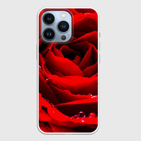 Чехол для iPhone 13 Pro с принтом Роза в Новосибирске,  |  | роза | розовая | розы | романтика | цветы