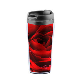 Термокружка-непроливайка с принтом Роза в Новосибирске, внутренняя часть — пищевой пластик, наружная часть — прозрачный пластик, между ними — полиграфическая вставка с рисунком | объем — 350 мл, герметичная крышка | роза | розовая | розы | романтика | цветы
