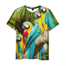 Мужская футболка 3D с принтом Попугаи на ветке в Новосибирске, 100% полиэфир | прямой крой, круглый вырез горловины, длина до линии бедер | джунгли | клюв | острова | перья | попугай | птица | тропики | экзотика