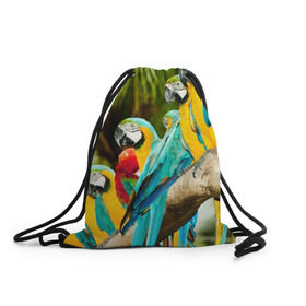 Рюкзак-мешок 3D с принтом Попугаи на ветке в Новосибирске, 100% полиэстер | плотность ткани — 200 г/м2, размер — 35 х 45 см; лямки — толстые шнурки, застежка на шнуровке, без карманов и подкладки | джунгли | клюв | острова | перья | попугай | птица | тропики | экзотика