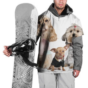 Накидка на куртку 3D с принтом Дивные собачки в Новосибирске, 100% полиэстер |  | Тематика изображения на принте: весёлый | животное | зверёк | игривый | классный | красивый | лучший друг человека | любимец | милый | охрана | пёс | питомец | прикольный | смешной | собака | собачонка | ум | щенок | щеночек