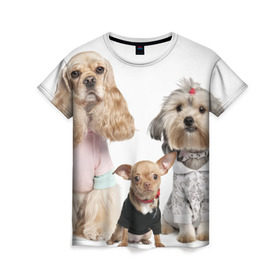 Женская футболка 3D с принтом Дивные собачки в Новосибирске, 100% полиэфир ( синтетическое хлопкоподобное полотно) | прямой крой, круглый вырез горловины, длина до линии бедер | Тематика изображения на принте: весёлый | животное | зверёк | игривый | классный | красивый | лучший друг человека | любимец | милый | охрана | пёс | питомец | прикольный | смешной | собака | собачонка | ум | щенок | щеночек