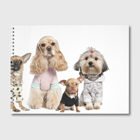 Альбом для рисования с принтом Дивные собачки в Новосибирске, 100% бумага
 | матовая бумага, плотность 200 мг. | весёлый | животное | зверёк | игривый | классный | красивый | лучший друг человека | любимец | милый | охрана | пёс | питомец | прикольный | смешной | собака | собачонка | ум | щенок | щеночек