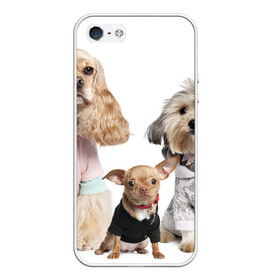 Чехол для iPhone 5/5S матовый с принтом Дивные собачки в Новосибирске, Силикон | Область печати: задняя сторона чехла, без боковых панелей | весёлый | животное | зверёк | игривый | классный | красивый | лучший друг человека | любимец | милый | охрана | пёс | питомец | прикольный | смешной | собака | собачонка | ум | щенок | щеночек
