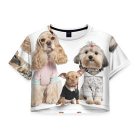 Женская футболка 3D укороченная с принтом Дивные собачки в Новосибирске, 100% полиэстер | круглая горловина, длина футболки до линии талии, рукава с отворотами | весёлый | животное | зверёк | игривый | классный | красивый | лучший друг человека | любимец | милый | охрана | пёс | питомец | прикольный | смешной | собака | собачонка | ум | щенок | щеночек
