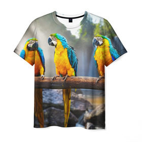 Мужская футболка 3D с принтом Экзотические попугаи в Новосибирске, 100% полиэфир | прямой крой, круглый вырез горловины, длина до линии бедер | джунгли | клюв | острова | перья | попугай | птица | тропики | экзотика
