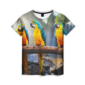 Женская футболка 3D с принтом Экзотические попугаи в Новосибирске, 100% полиэфир ( синтетическое хлопкоподобное полотно) | прямой крой, круглый вырез горловины, длина до линии бедер | джунгли | клюв | острова | перья | попугай | птица | тропики | экзотика