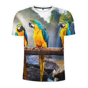 Мужская футболка 3D спортивная с принтом Экзотические попугаи в Новосибирске, 100% полиэстер с улучшенными характеристиками | приталенный силуэт, круглая горловина, широкие плечи, сужается к линии бедра | Тематика изображения на принте: джунгли | клюв | острова | перья | попугай | птица | тропики | экзотика