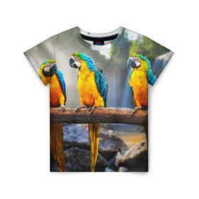 Детская футболка 3D с принтом Экзотические попугаи в Новосибирске, 100% гипоаллергенный полиэфир | прямой крой, круглый вырез горловины, длина до линии бедер, чуть спущенное плечо, ткань немного тянется | джунгли | клюв | острова | перья | попугай | птица | тропики | экзотика