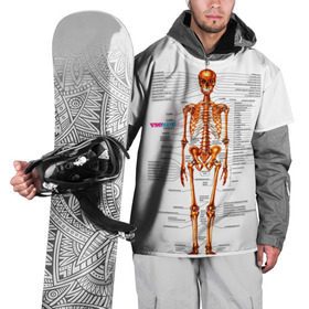 Накидка на куртку 3D с принтом Шпаргалки в Новосибирске, 100% полиэстер |  | Тематика изображения на принте: шпаргалка
