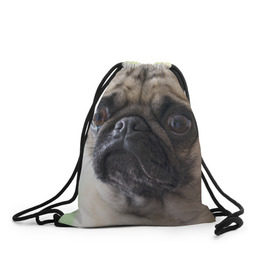 Рюкзак-мешок 3D с принтом Мопс в Новосибирске, 100% полиэстер | плотность ткани — 200 г/м2, размер — 35 х 45 см; лямки — толстые шнурки, застежка на шнуровке, без карманов и подкладки | Тематика изображения на принте: мопс | мопсы | собака | собаки