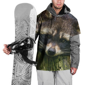 Накидка на куртку 3D с принтом Енотик в Новосибирске, 100% полиэстер |  | Тематика изображения на принте: енот | животные | звери | природа