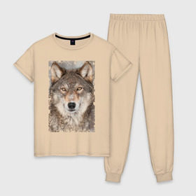 Женская пижама хлопок с принтом Волк (retro style) в Новосибирске, 100% хлопок | брюки и футболка прямого кроя, без карманов, на брюках мягкая резинка на поясе и по низу штанин | retro style | wolf | ветошь | взгляд | винтаж | волк | волчара | добыча | жертва | животное | зверь | лик | опасность | охотник | потёртости | санитар леса | серый | старина | хищник | царапины