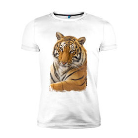 Мужская футболка премиум с принтом Тигр (retro style) в Новосибирске, 92% хлопок, 8% лайкра | приталенный силуэт, круглый вырез ворота, длина до линии бедра, короткий рукав | Тематика изображения на принте: tiger | дикая кошка | тигр | хищник
