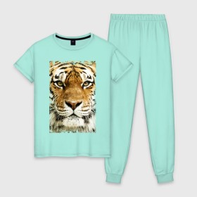 Женская пижама хлопок с принтом Тигр (retro style) в Новосибирске, 100% хлопок | брюки и футболка прямого кроя, без карманов, на брюках мягкая резинка на поясе и по низу штанин | tiger | дикая кошка | тигр | хищник