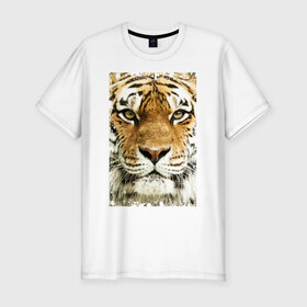 Мужская футболка премиум с принтом Тигр (retro style) в Новосибирске, 92% хлопок, 8% лайкра | приталенный силуэт, круглый вырез ворота, длина до линии бедра, короткий рукав | tiger | дикая кошка | тигр | хищник