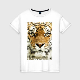 Женская футболка хлопок с принтом Тигр (retro style) в Новосибирске, 100% хлопок | прямой крой, круглый вырез горловины, длина до линии бедер, слегка спущенное плечо | Тематика изображения на принте: tiger | дикая кошка | тигр | хищник