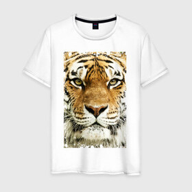 Мужская футболка хлопок с принтом Тигр (retro style) в Новосибирске, 100% хлопок | прямой крой, круглый вырез горловины, длина до линии бедер, слегка спущенное плечо. | tiger | дикая кошка | тигр | хищник