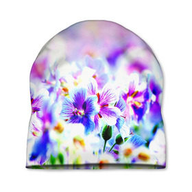 Шапка 3D с принтом Цветочное поле в Новосибирске, 100% полиэстер | универсальный размер, печать по всей поверхности изделия | весна | лето | цветочки | цветы