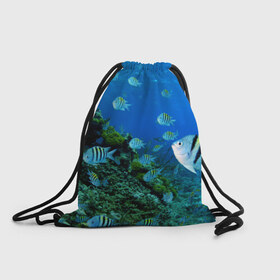 Рюкзак-мешок 3D с принтом Подводный мир в Новосибирске, 100% полиэстер | плотность ткани — 200 г/м2, размер — 35 х 45 см; лямки — толстые шнурки, застежка на шнуровке, без карманов и подкладки | дно | океан | природа | рыбки